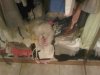 IMG00117-20100816-0&.jpg