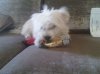 IMG00055-20100912-1&.jpg
