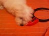 IMG00085-20100811-0&.jpg