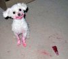 lipstick..jpg