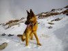 DSC_0166.JPG