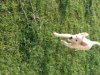 IMG_0719.jpg