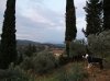 Εικόνα 033.jpg