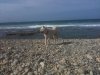 1509273_10203693414798681_1201347102_n.jpg