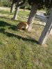 20140420_163957.jpg