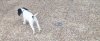 100_5198a.JPG