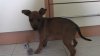 Picture 001.jpg