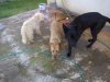 DSC00833.jpg