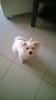WP_20140424_010.jpg