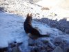 DSC_0721.jpg DSC_0721.jpg