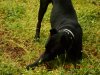 DSCN0376.JPG