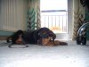 DSCN4413.JPG DSCN4413.JPG