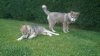 WP_20140512_014.jpg