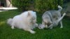 WP_20140513_007.jpg