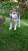 WP_20140515_008.jpg