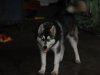 DSC00175.jpg