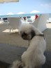 DSC01774.JPG