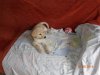 DSC00964.JPG