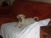 DSC00967.JPG