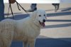 DSC_0263.JPG
