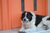 DSC_0816.JPG