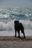 DSC_0733.JPG DSC_0733.JPG
