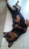 20140601_165015.jpg