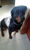 20140601_164838.jpg