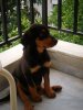 DSCN4468.JPG