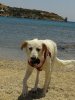 20140609_133817.jpg