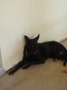 DSC00079.JPG