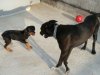 DSCN4485.JPG