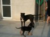DSCN4488.JPG