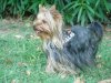 DSC02246.JPG