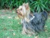 DSC02247.JPG