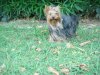 DSC02251.JPG