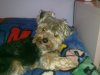 04042012357.jpg