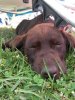 20140627_145337.jpg