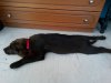20140618_110235.jpg