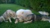 WP_20140613_008.jpg