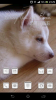 Screenshot_2014-06-28-23-29-12.png