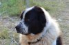 DSC_0182s.JPG