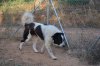 DSC_0201s.JPG