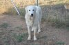 DSC_0246s.JPG