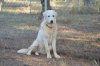 DSC_0262s.JPG