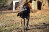 DSC_0286s.JPG