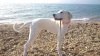 DSC_1623.JPG DSC_1623.JPG