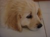 DSC02920.JPG