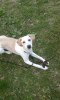 20150331_191543.jpg
