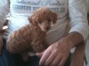 20150504_203042.jpg